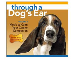 Calm Your Canine Companion with Music