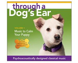Calming Music for Your Rescue Puppy