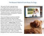 Calm Your Canine Companion with Music