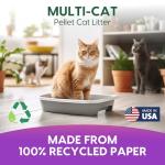 Fresh News Non-Clumping Paper Cat Litter, 25 lbs