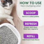 Fresh News Non-Clumping Paper Cat Litter, 25 lbs