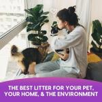 Fresh News Non-Clumping Paper Cat Litter, 25 lbs