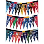 NHL Mini Pennant Set for Dog Lovers