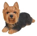 Yorkshire Terrier Lying Down Resin Statue