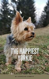 Yorkie Happiness: A Beginner’s Guide to Care