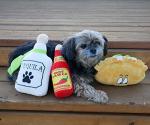 Fiesta Dog Chew Toys - Baja Ponchos 4 Pack