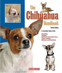 Essential Guide for Caring for Your Chihuahua