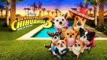 Beverly Hills Chihuahua 3: Fiesta Fun for Dogs!