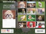 Adorable Shih Tzu 2026 Wall Calendar