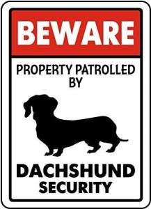 Dachshund Security Sign for Pet-Friendly Spaces