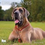 Great Dane 2026 Wall Calendar for Dog Lovers