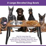 Elevated Dog Bowls with Spill Proof Mat for Large Dogs
