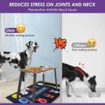 Elevated Dog Bowls with Spill Proof Mat for Large Dogs