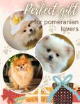 Pomeranian Mom Insulated Tumbler Gift 20oz
