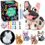 DIY Dog Bulldog Lamp Painting Kit for Kids