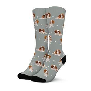 Funny King Charles Cavalier Dog Crew Socks