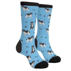 Funny Border Collie Dog Socks for All Ages