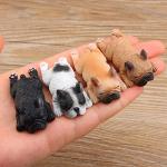 Cute French Bulldog Magnets – Fun Kitchen Decor