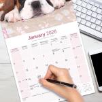Boxer Puppies 2026 Wall Calendar for Dog Lovers