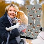 Funny King Charles Cavalier Dog Crew Socks