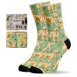 Dog Socks for Dog Lovers and Parents