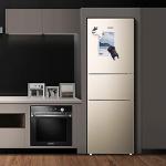 Cute French Bulldog Magnets – Fun Kitchen Decor