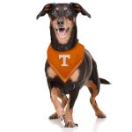 Tennessee Volunteers Dog Bandana for Game Days