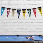 NCAA Big Ten Mini Pennant Set for Dogs
