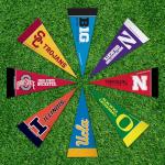 NCAA Big Ten Mini Pennant Set for Dogs