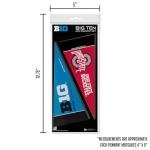 NCAA Big Ten Mini Pennant Set for Dogs