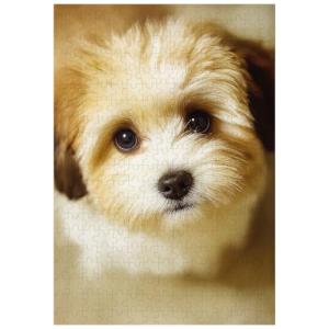 Vintage Shih Tzu Puppy 300-Piece Jigsaw Puzzle