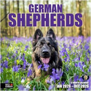German Shepherd 2026 Wall Calendar – Perfect Gift