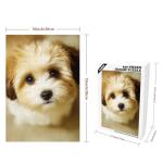 Vintage Shih Tzu Puppy 300-Piece Jigsaw Puzzle