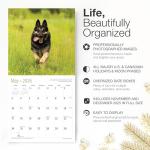 German Shepherd 2026 Wall Calendar – Perfect Gift