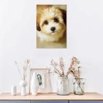 Vintage Shih Tzu Puppy 300-Piece Jigsaw Puzzle