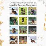 German Shepherd 2026 Wall Calendar – Perfect Gift