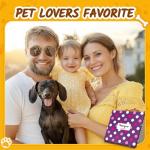 Funny Chihuahua Socks - Perfect Gift for Dog Moms