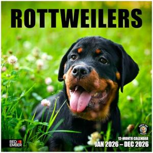 Rottweiler Rescue 2026 Wall Calendar