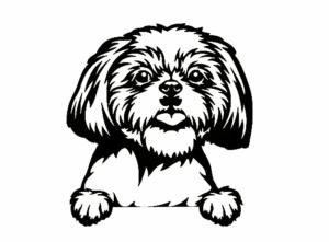 Cute Shih Tzu Car Decal for Dog Lovers