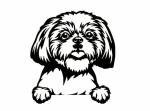 Cute Shih Tzu Car Decal for Dog Lovers