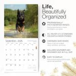 Rottweiler Rescue 2026 Wall Calendar
