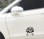 Cute Shih Tzu Car Decal for Dog Lovers