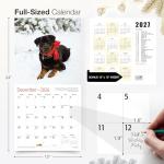 Rottweiler Rescue 2026 Wall Calendar