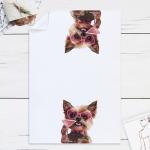 Yorkshire Terrier Kitchen Towels for Dog Moms