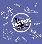 Black Labrador Socks for Dog Lovers by E&S Pets