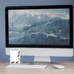 Basset Hound To-Do List Notepad for Dog Moms