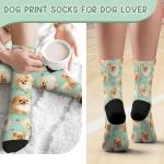Pomeranian Socks for Dog Lovers and Owners