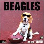 2026 Beagle Wall Calendar for Dog Lovers