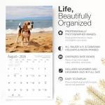 2026 Beagle Wall Calendar for Dog Lovers