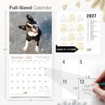 Boston Terrier 2026 Wall Calendar for Dog Lovers